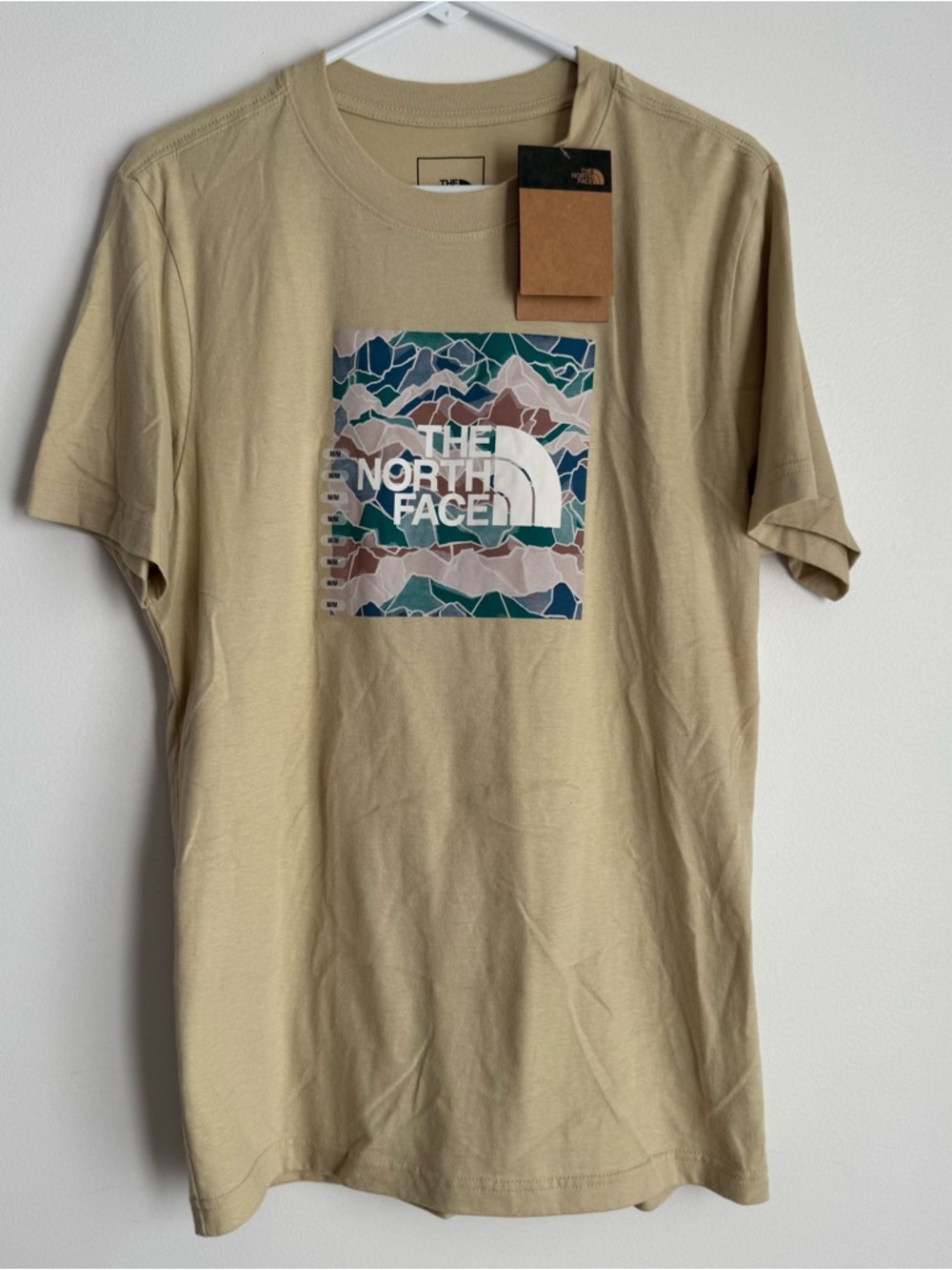 The North Face Men’s Beige Graphic Logo T-Shirt
